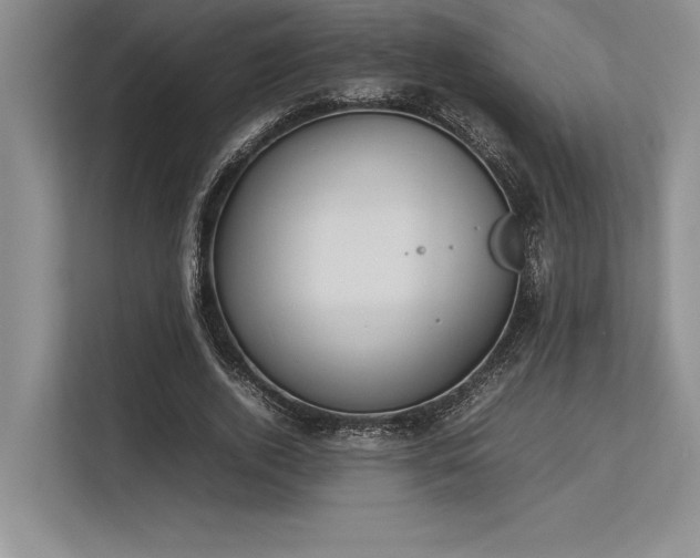 X0000113350728200909221143