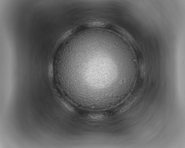 X0000113350729200909221143