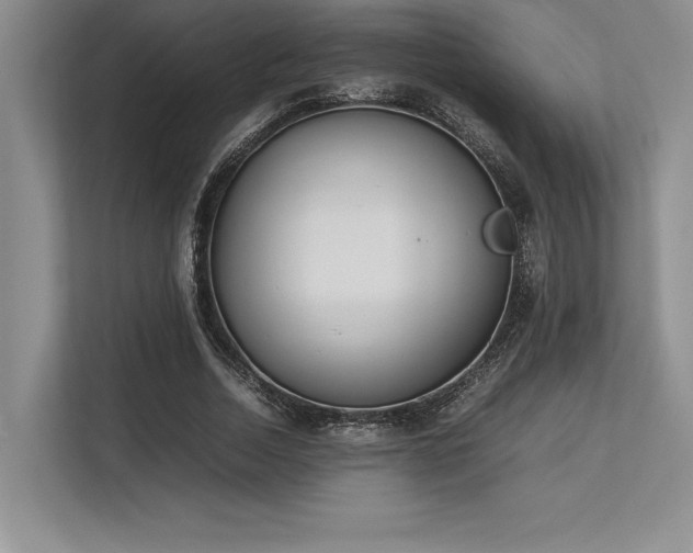 X0000113350730200909221143