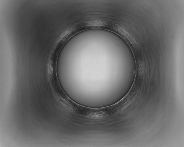 X0000113350731200909221143