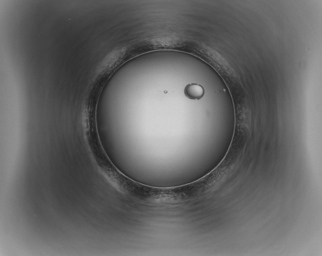 X0000113350738200909221143