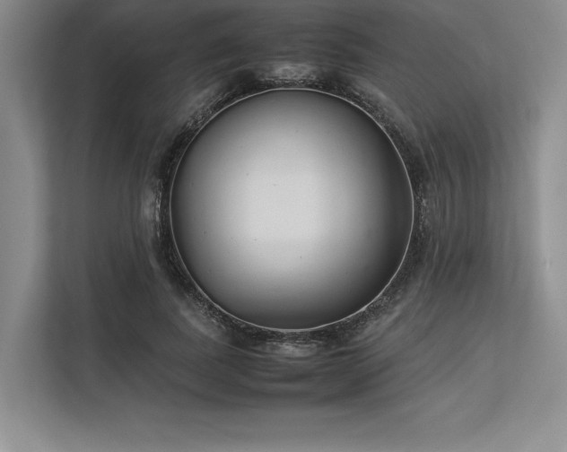 X0000113350739200909221143