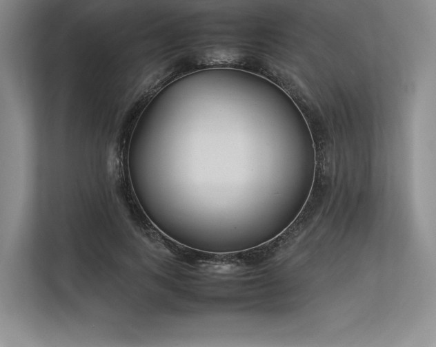 X0000113350743200909221143