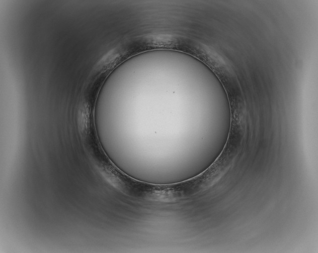 X0000113350744200909221143
