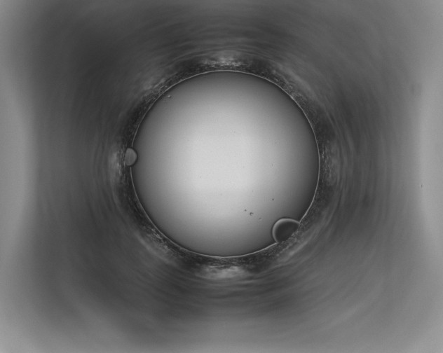 X0000113350747200909221143