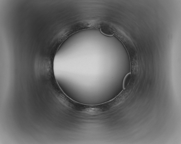 X0000113350748200909221143