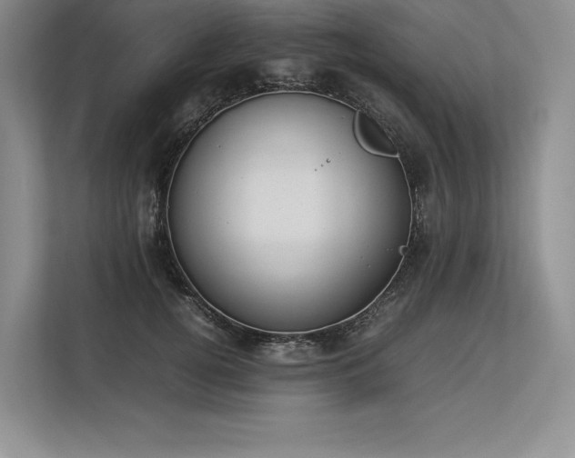 X0000113350752200909221143