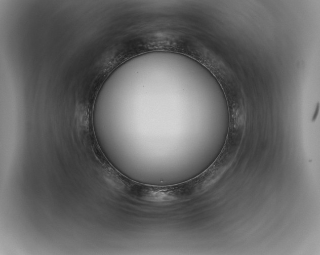X0000113350753200909221143