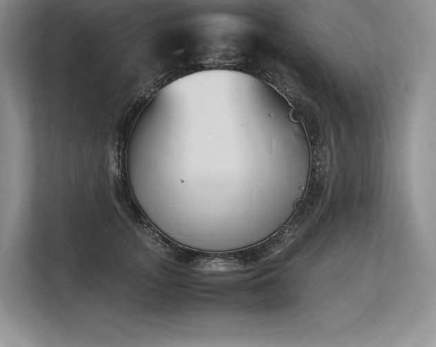 X0000113350755200909221144