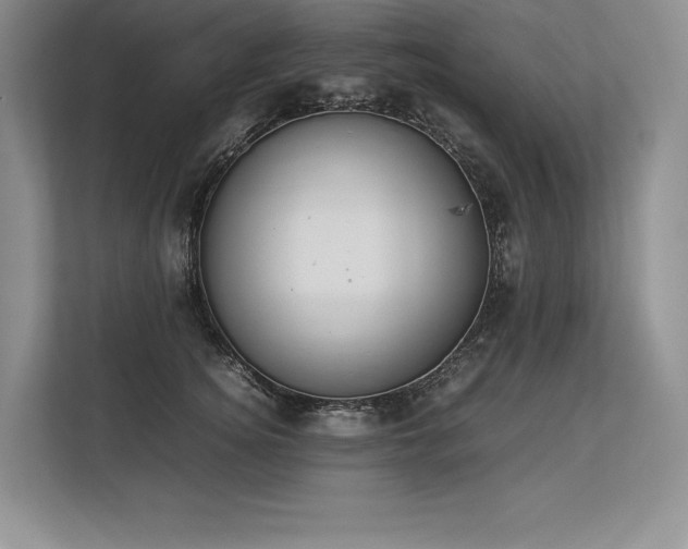 X0000113350756200909221144