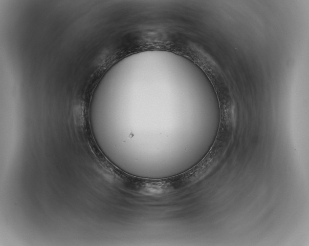X0000113350757200909221144