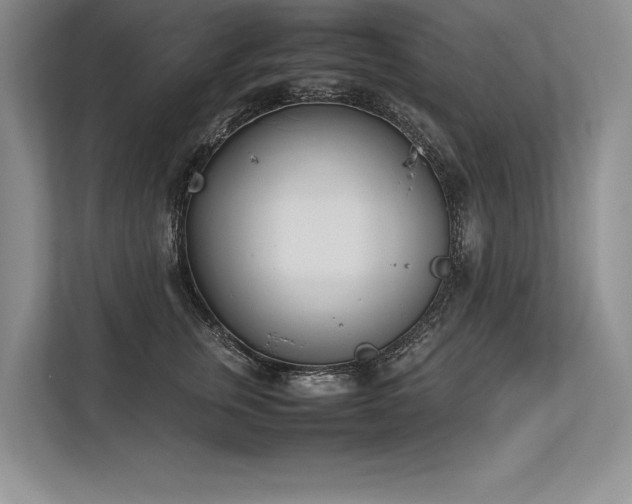 X0000113350759200909221144