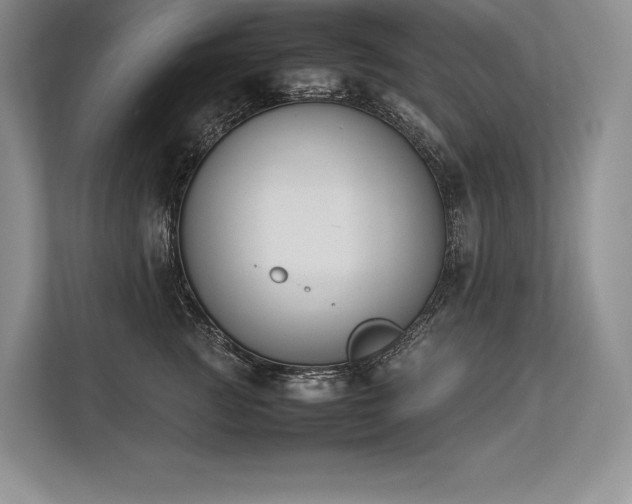 X0000113350761200909221144