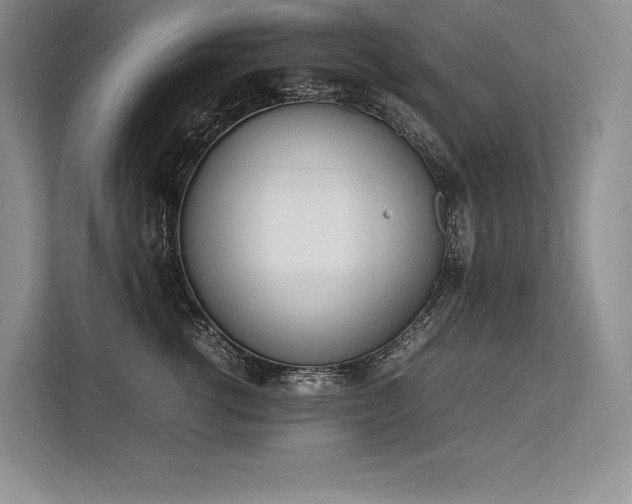 X0000113350762200909221144