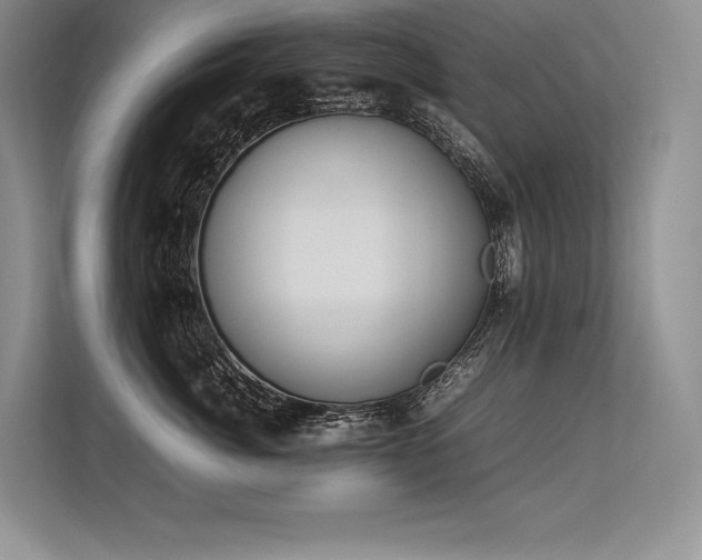 X0000113350764200909221144