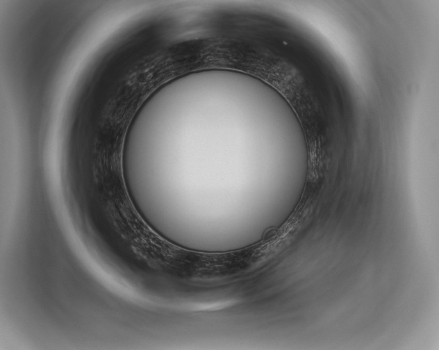 X0000113350765200909221144