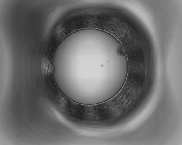 X0000113350766200909221144