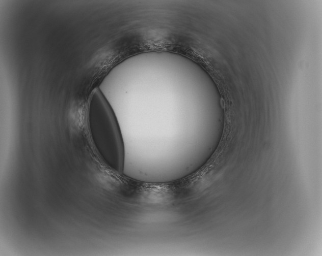X0000113350768200909221144