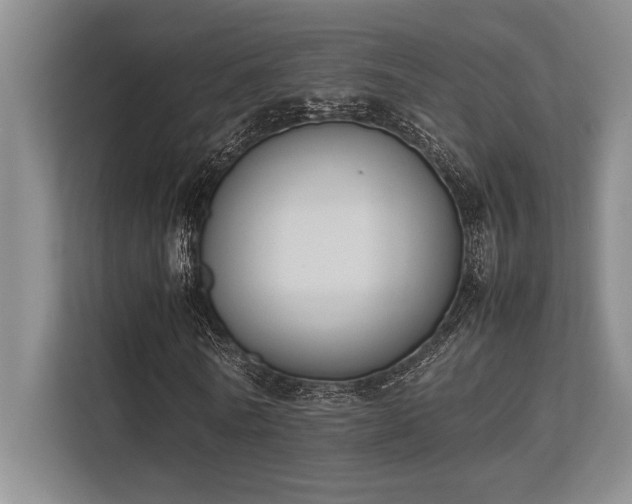 X0000113350770200909221143