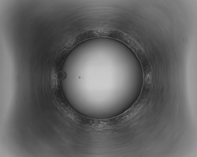 X0000113350772200909221143