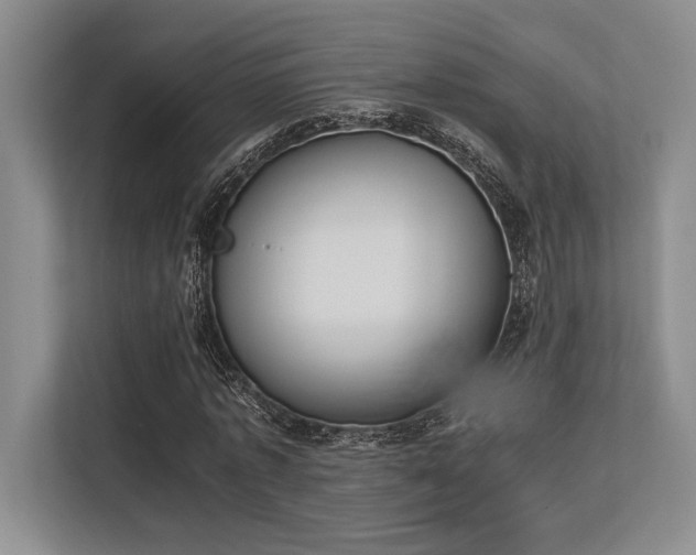 X0000113350773200909221143