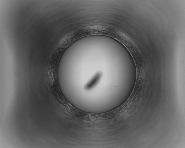 X0000113350774200909221143