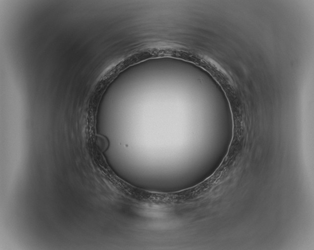 X0000113350775200909221143