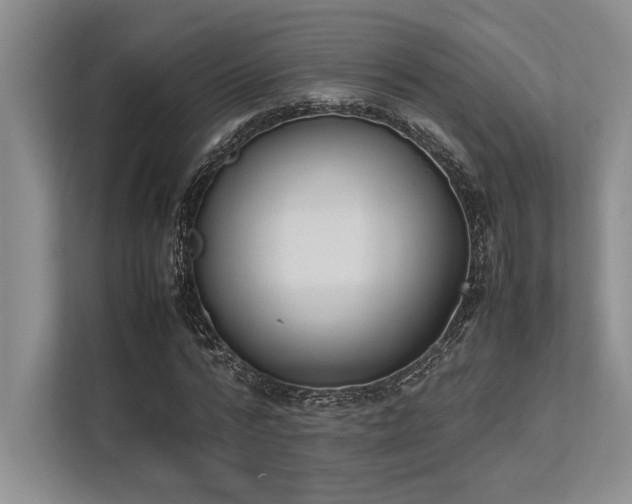 X0000113350776200909221143