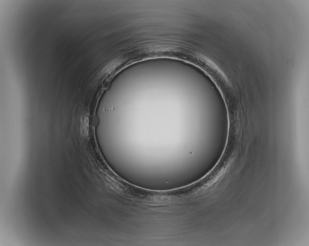 X0000113350777200909221143