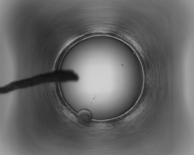 X0000113350779200909221143