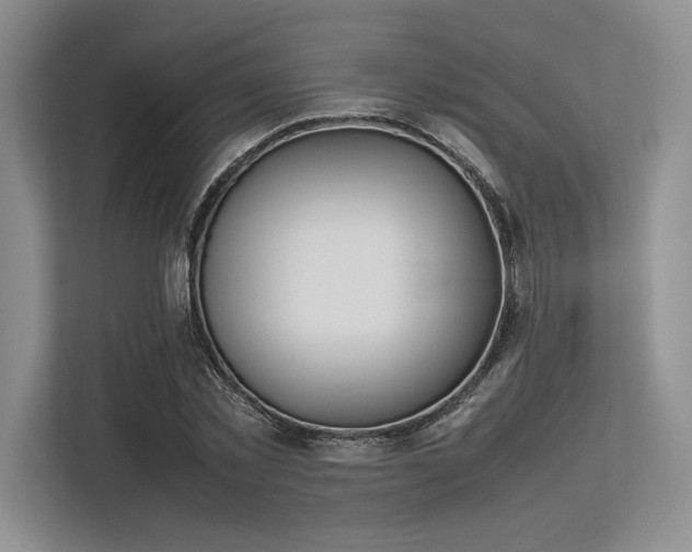 X0000113350781200909221143