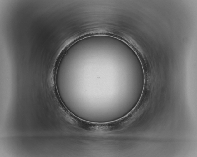 X0000113350789200909221143