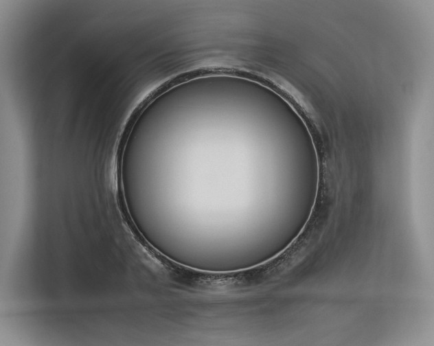 X0000113350791200909221143