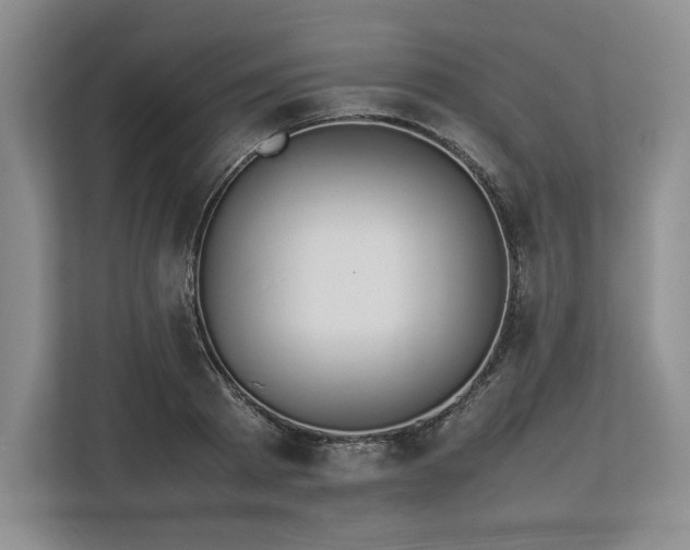 X0000113350793200909221143