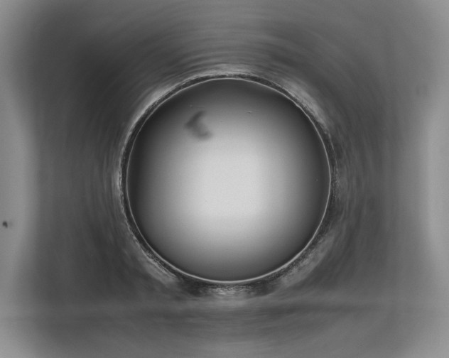 X0000113350797200909221143