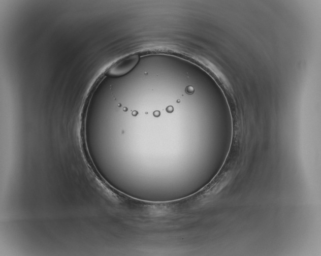 X0000113350799200909221143