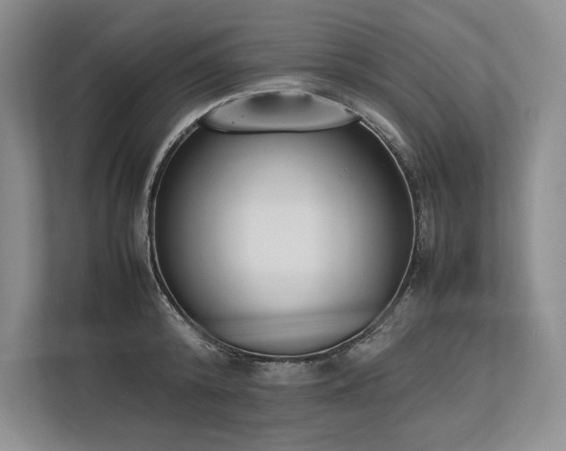 X0000113350800200909221143