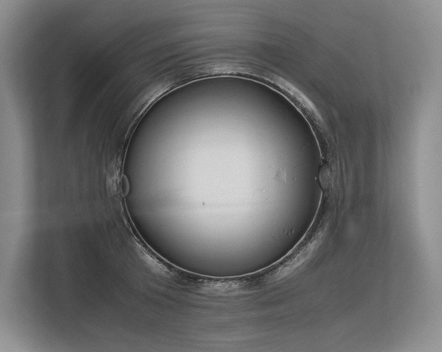 X0000113350801200909221143