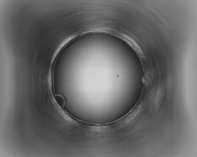 X0000113350804200909221143