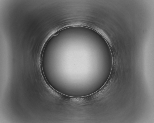 X0000113350805200909221143