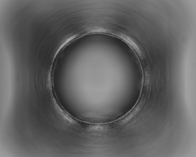 X0000113350806200909221143
