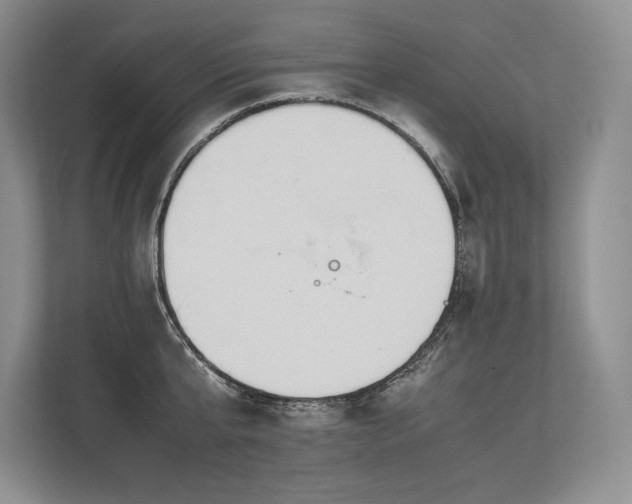 X0000113350807200909221143