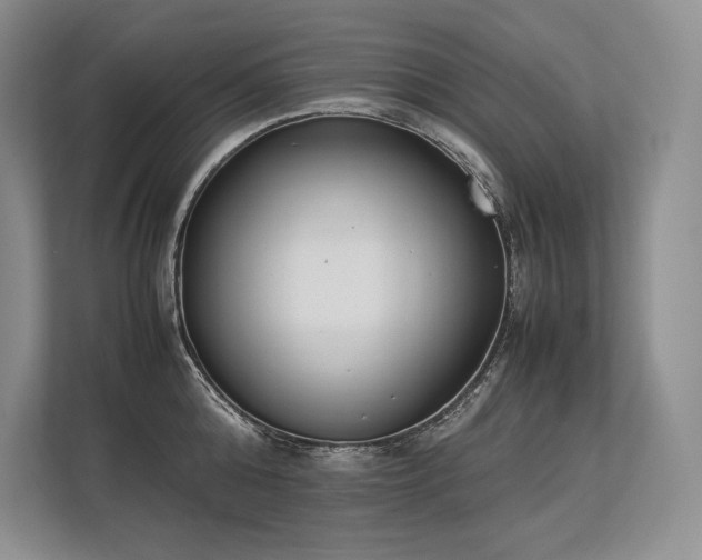 X0000113350808200909221143