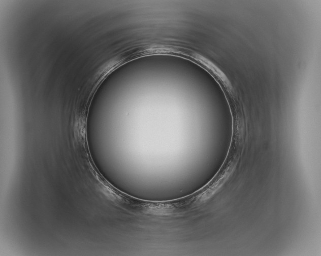 X0000113350809200909221143