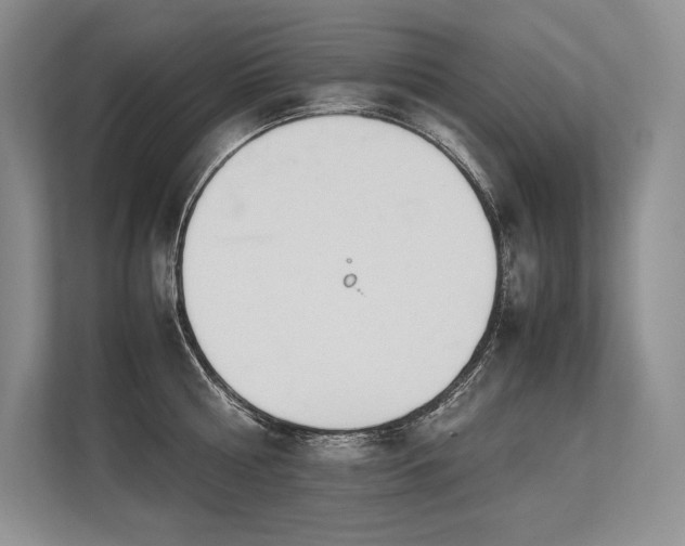X0000113350810200909221143