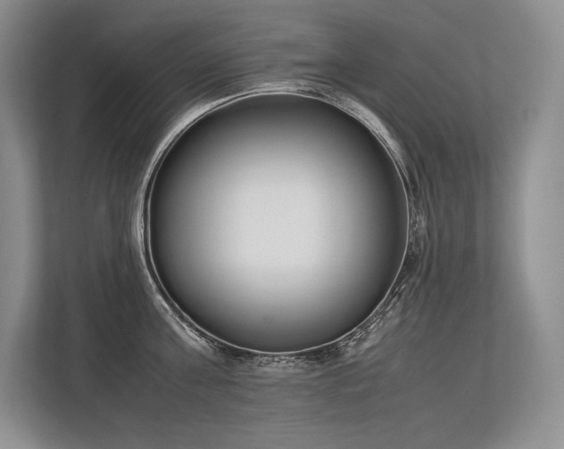 X0000113350811200909221143