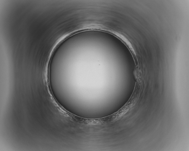 X0000113350815200909221142