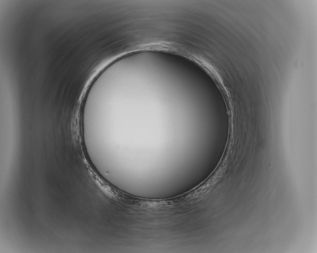 X0000113350816200909221142