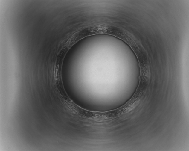 X0000113350818200909221142