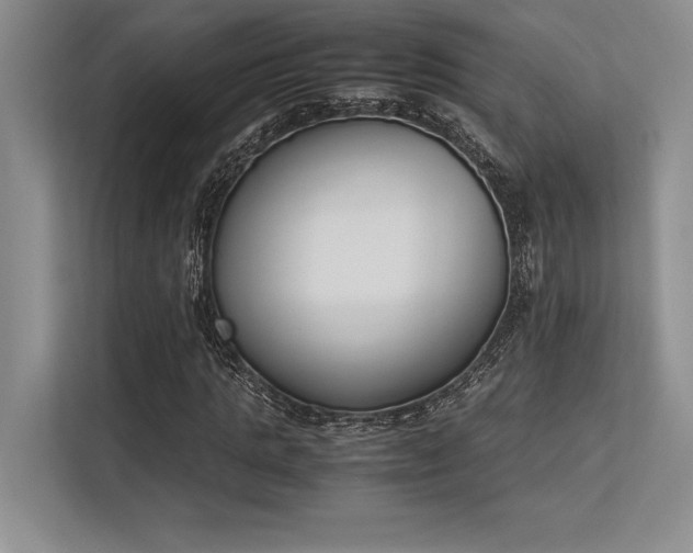 X0000113350821200909221142